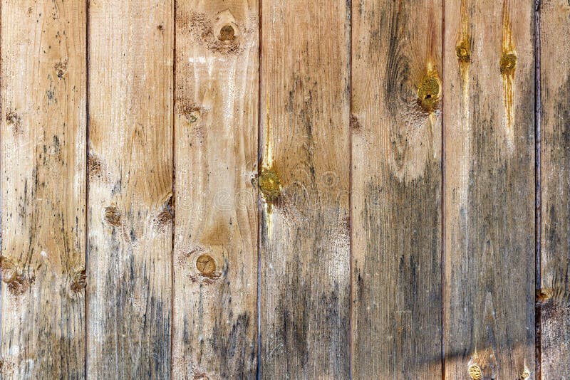 Vecchie plance di legno misere stagionate Struttura di legno naturale immagini stock libere da diritti Vecchie plance di legno misere stagionate Struttura di legno naturale immagini stock libere da diritti