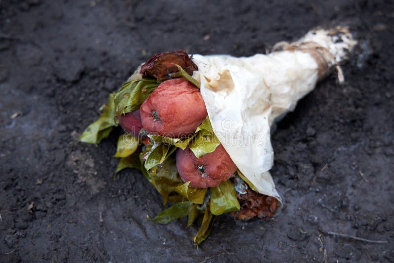 Vecchio e marcio bouquet di fiori e frutta giace su terreno umido immagini stock libere da diritti