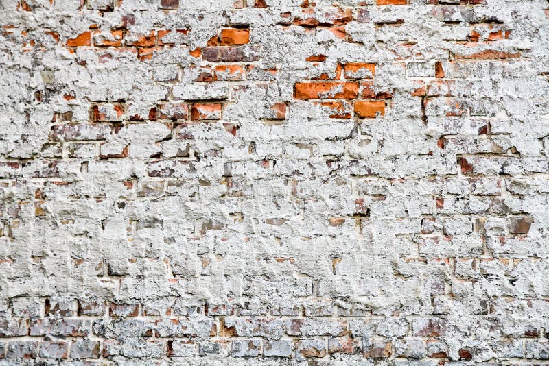 Vecchio e muro di mattoni rosso grungy stagionato dipinto parzialmente con la pittura bianca della sbucciatura e coperto da vecch immagine stock Vecchio e muro di mattoni rosso grungy stagionato dipinto parzialmente con la pittura bianca della sbucciatura e coperto da vecch immagine stock