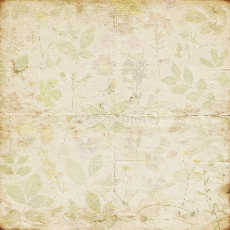 old shabby faded dried pressed floral pattern paper background. Template for decoration and design. old shabby faded dried pressed floral pattern paper background. Template for decoration and design.