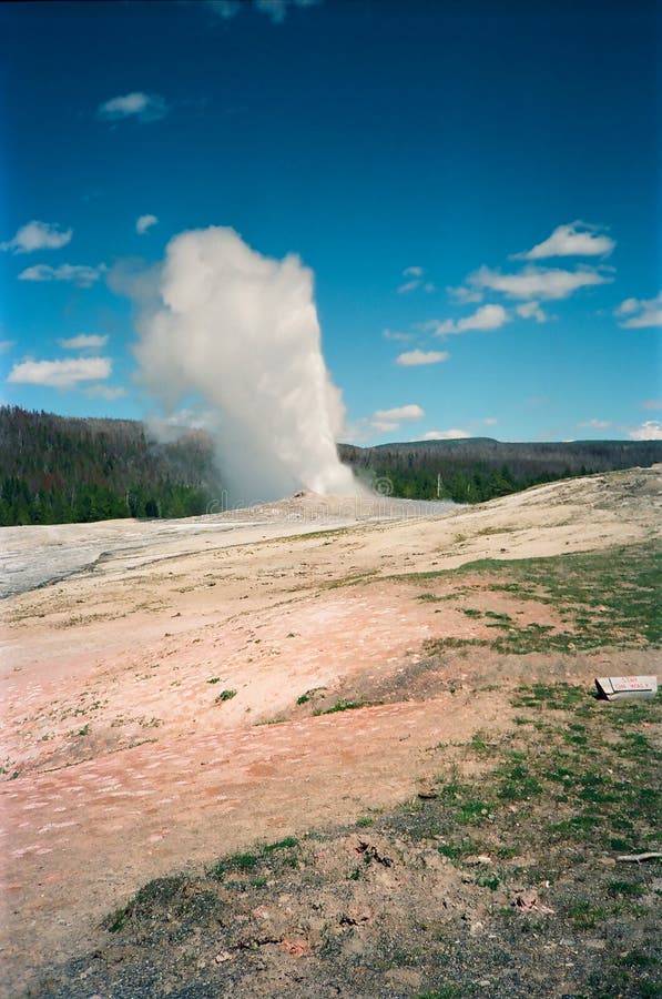 Vecchio geyser fedele del Yellowstone