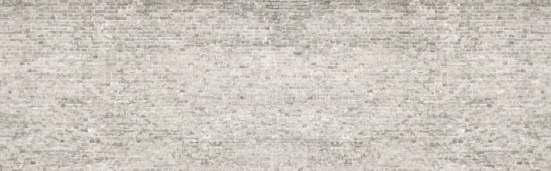 Vecchio panorama del muro di mattoni del lavaggio bianco