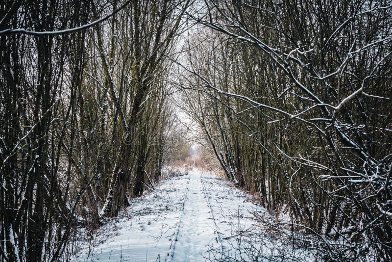 Vecchio piccolo tunnel ferroviario abbandonato dell'albero nell'inverno immagine stock libera da diritti Vecchio piccolo tunnel ferroviario abbandonato dell'albero nell'inverno immagine stock libera da diritti