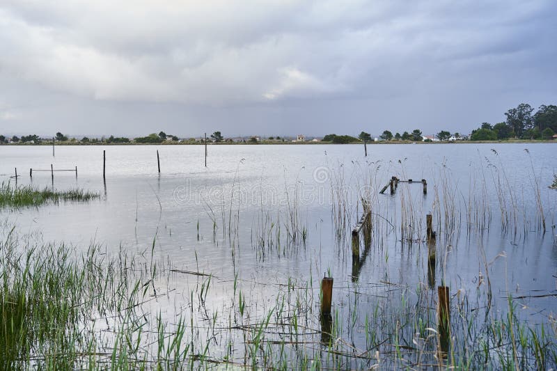 Vecchio resti della banchina in mezzo alla vegetazione fotografia stock libera da diritti Vecchio resti della banchina in mezzo alla vegetazione fotografia stock libera da diritti
