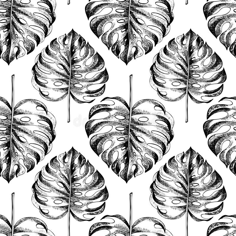 Vecotr hand drawn seamless pattern. tropical plants. Exotic engraved leaves and flowers. Isoalated on white. Monstera