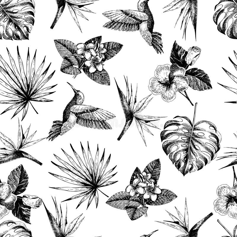 Vecotr hand drawn seamless pattern. tropical plants. Exotic engraved leaves and flowers. Monstera, livistona palm leaves, bird of