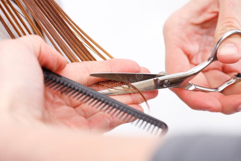 vecteur artistique d'illustration de hairdress de cheveu de découpage image stock vecteur artistique d'illustration de hairdress de cheveu de découpage image stock