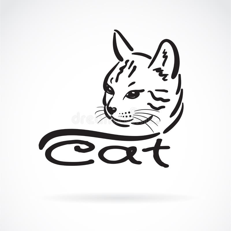 Vecteur De La Peinture Principale De Chat A Main Levee Sur Le Fond Blanc Pet Animal Illustration Pos E Editable Facile De Vecteur Illustration De Vecteur Illustration Du Domestique Chaton Vecteur De La Peinture Principale De Chat A Main Levee Sur Le Fond Blanc Pet Animal Illustration Pos E Editable Facile De Vecteur Illustration De Vecteur Illustration Du Domestique Chaton