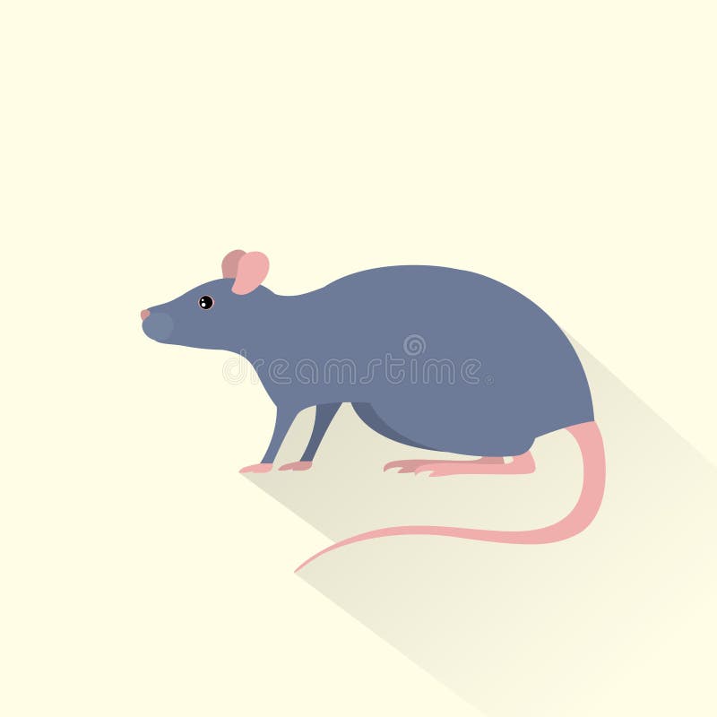 Vecteur plat d'ombre d'icône grise de souris de rat illustration de vecteur Vecteur plat d'ombre d'icône grise de souris de rat illustration de vecteur