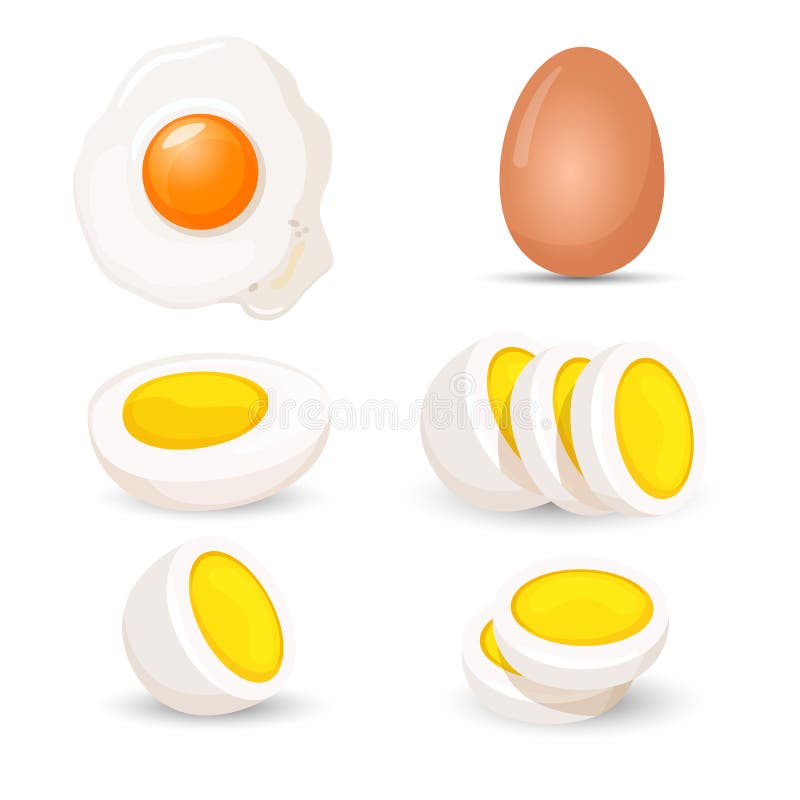 Vecteur réaliste d'oeufs à la coque entiers et demi, frais et fait frire illustration de vecteur