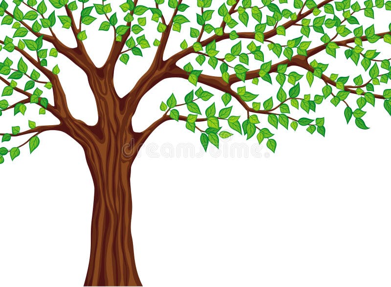 vecteur vert d'arbre d'illustration illustration de vecteur vecteur vert d'arbre d'illustration illustration de vecteur