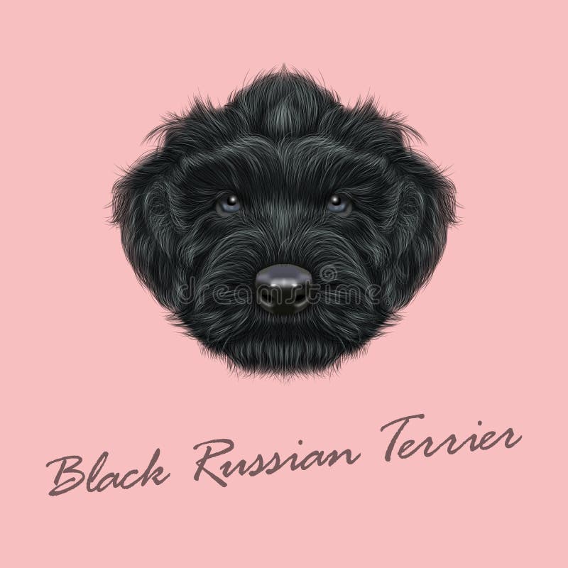 Черный русский терьер рисунок