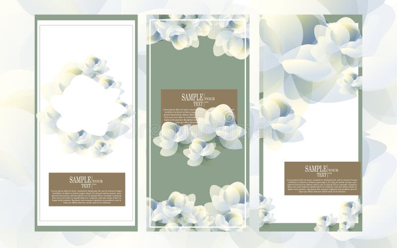 Vector abstract watercolor flower template design set, jasmine vector illustration