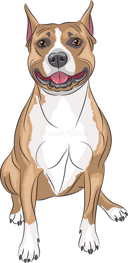 Pitbull Bully Dog Face Download Svg Png Hiking Pittie Dogs 