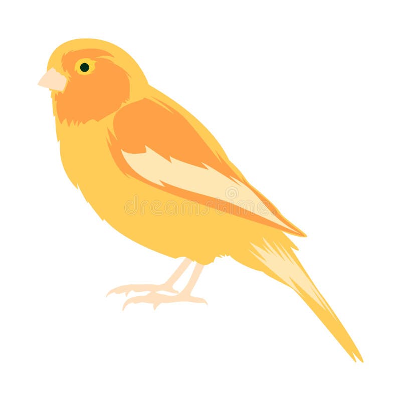 Vector animal clip art. Vector illustration of a yellow canary vector illustration Vector animal clip art. Vector illustration of a yellow canary vector illustration