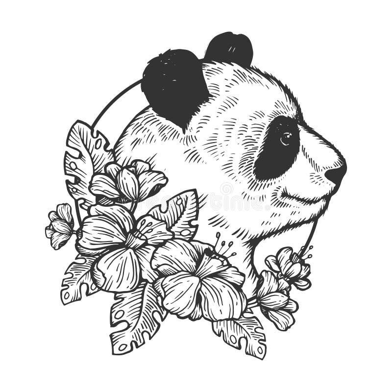 Desenho Bonito Esboço Panda Urso Rosto Design Gráfico Ilustraciones svg,  vectoriales, clip art vectorizado libre de derechos. Image 79193100