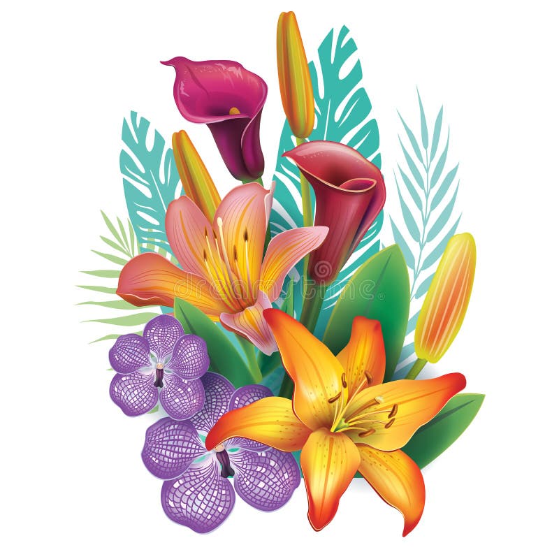 Arrangement from Hibiscus Flowers Stock Vector - Illustration of ...