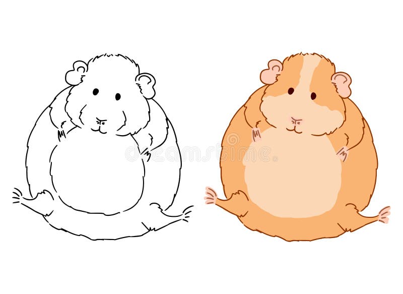 Fat guinea pig