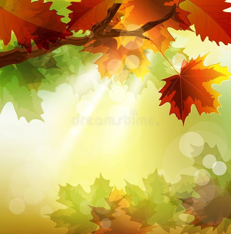 Vector autumn background with maple leaf