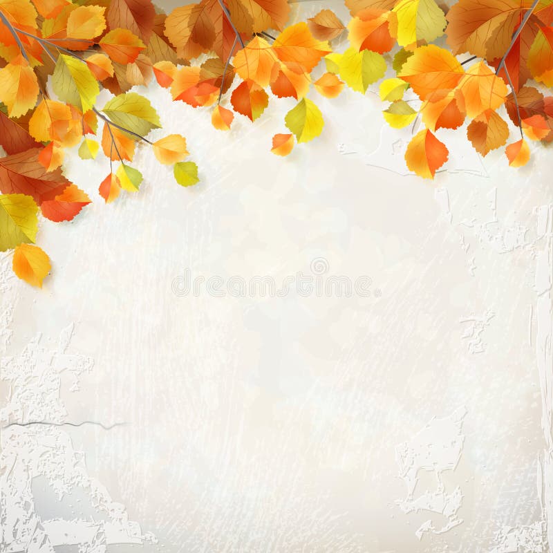 Vector autumn leaves plaster wall background