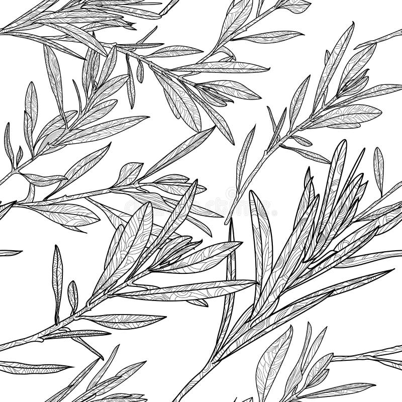 Vector autumn leaves seamless pattern. Black and white background with outline hand drawn branches and leaves.