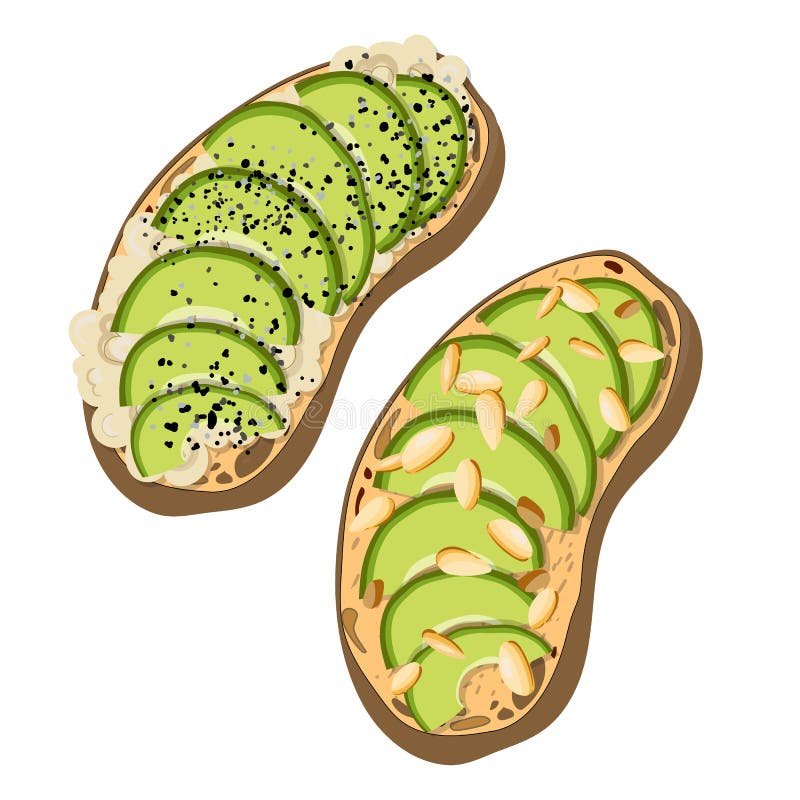 Vector Avocado Toast stock vector. Illustration of fresh 135083061