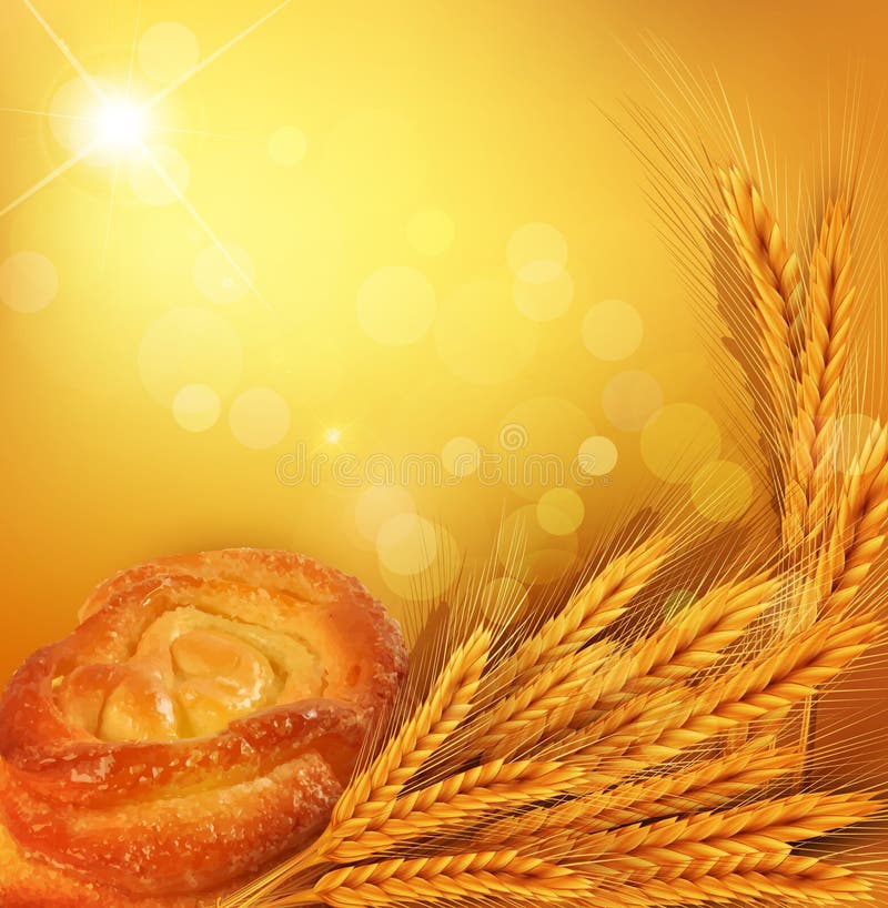 Vector background with gold ears of wheat, bun, su