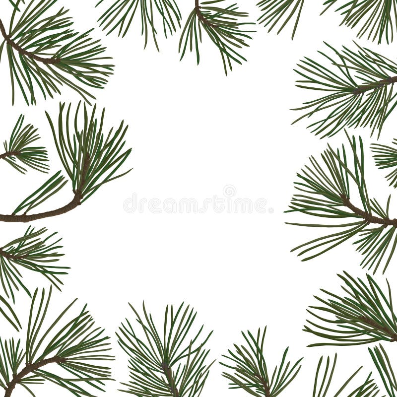 Pine Branches with Green Needles Stock Vector - Illustration of template,  decoration: 141359135