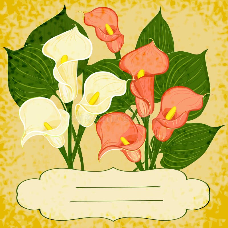 Vector background with vignette and flowers