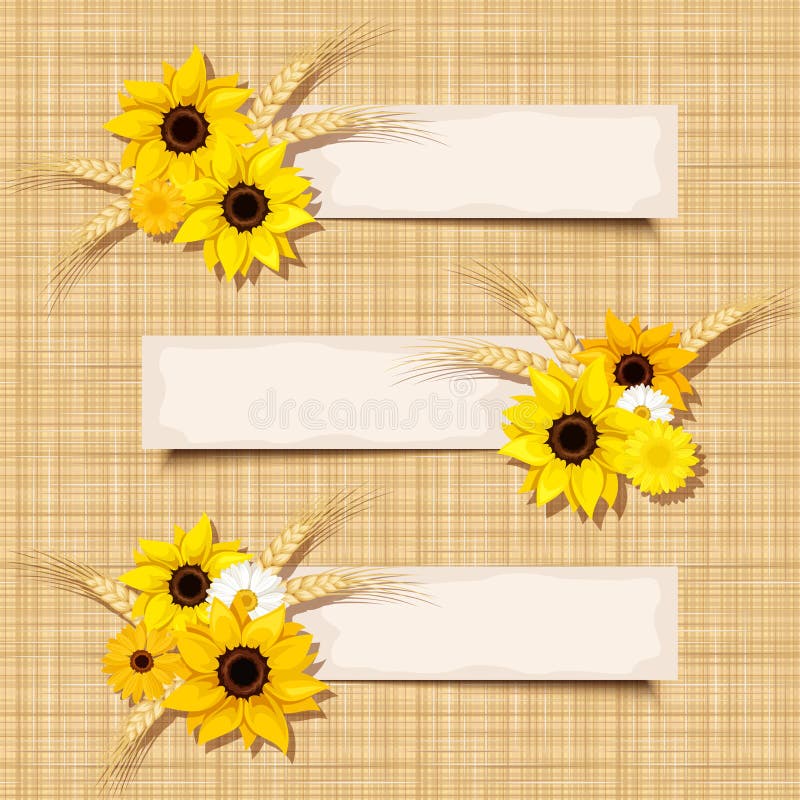 Vector banners with sunflowers and ears of wheat on a sacking background. Eps-10.