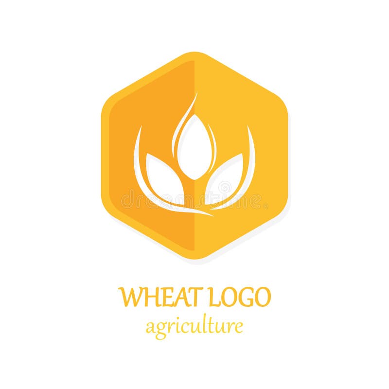 Agriculture Wheat Logo Icon Design Template Vector Illustration