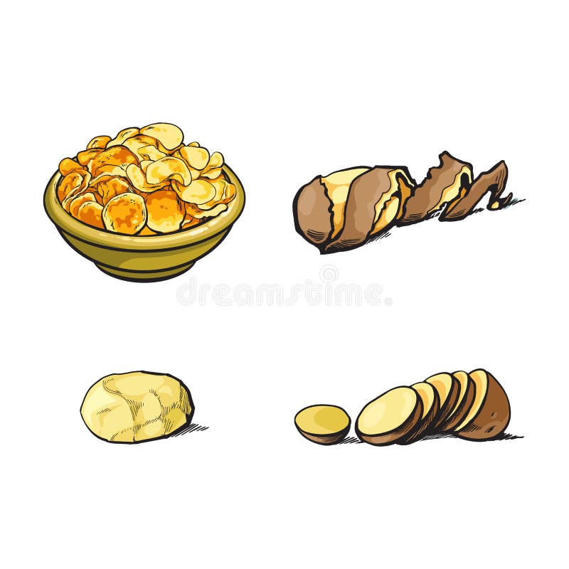 Batata Espiral Ilustrações, Vetores E Clipart De Stock – (320 Stock  Illustrations)