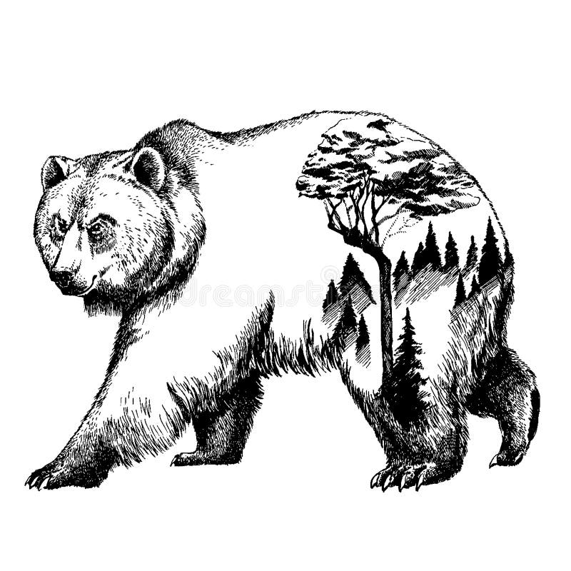 Free Free 303 Mountain Range Bear Svg SVG PNG EPS DXF File