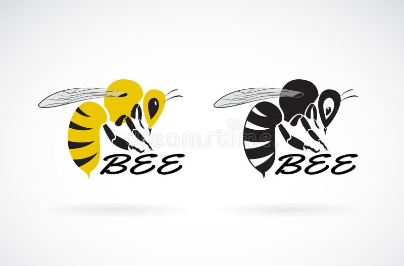 Vector of bee design on white background. Insect. Easy editable layered vector illustration.