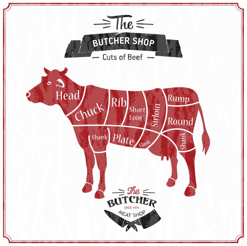 Vector Beef Cuts Diagram in Vintage Style Stock Vector Illustration