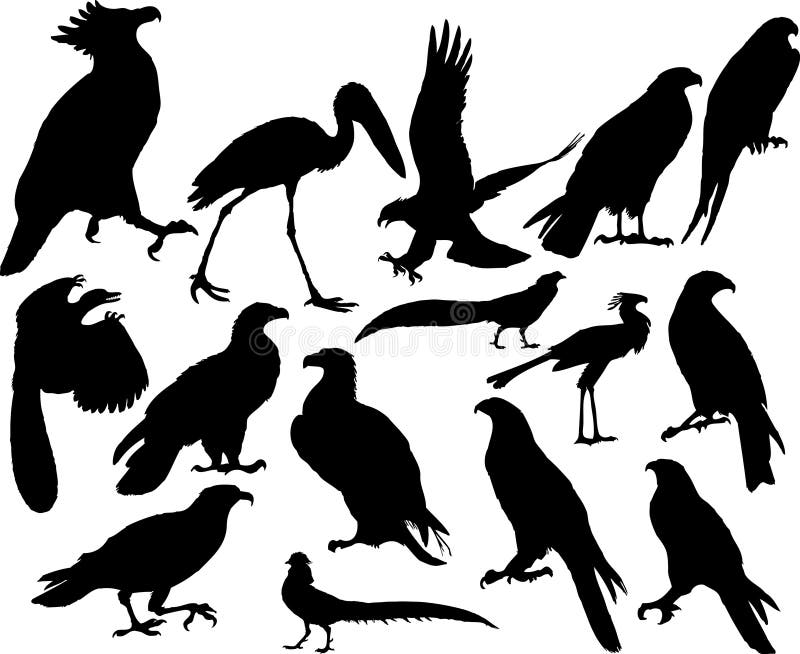 Sada černé siluety různých ptáků.