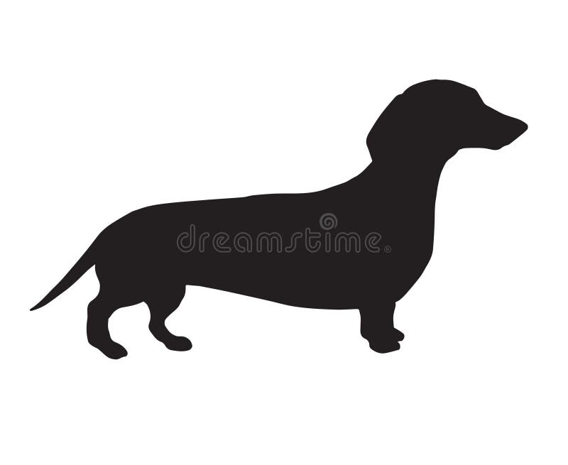Vector Black Dachshund Dog Silhouette Stock Illustration - Illustration of  long, cartoon: 173769080