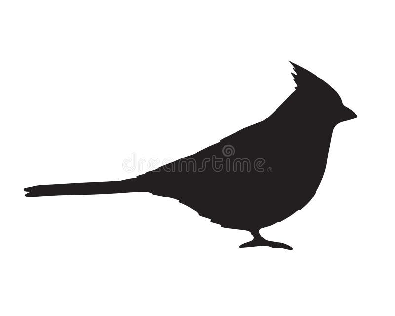 Vector black flat red cardinal bird silhouette