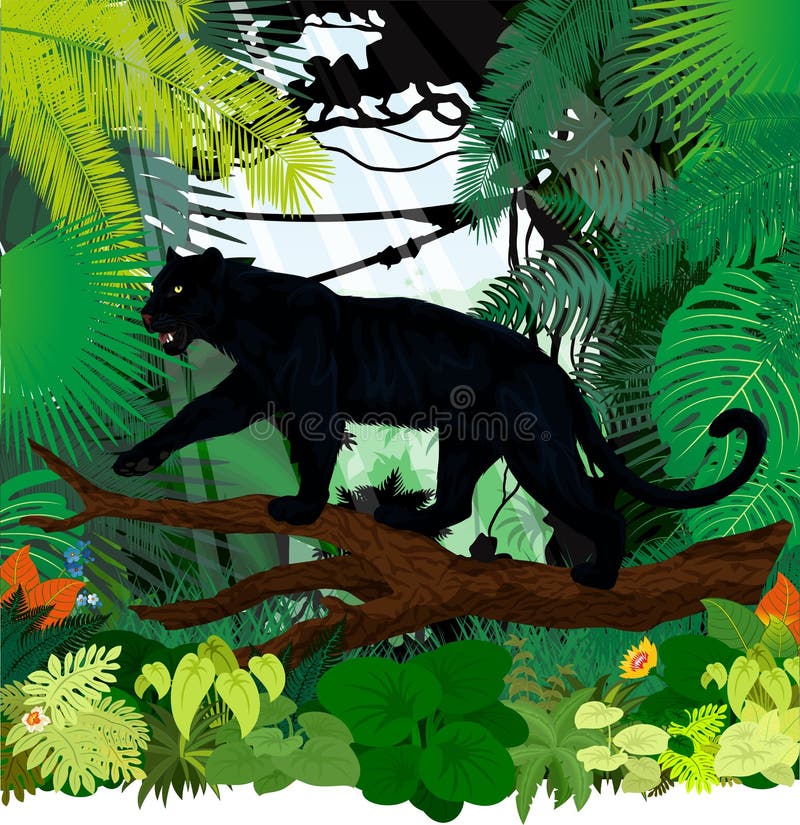 Vector black panther leopard jaguar in jungle rainforest