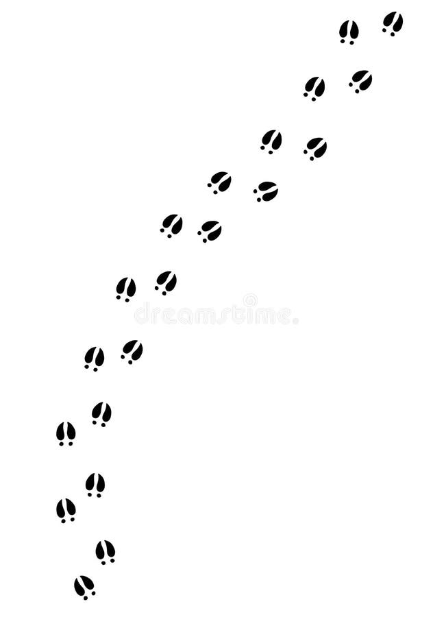 Vector Black Pig Foot Print Steps Path Stock Illustration