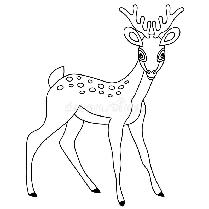 Vector black and white cute forest deer. 