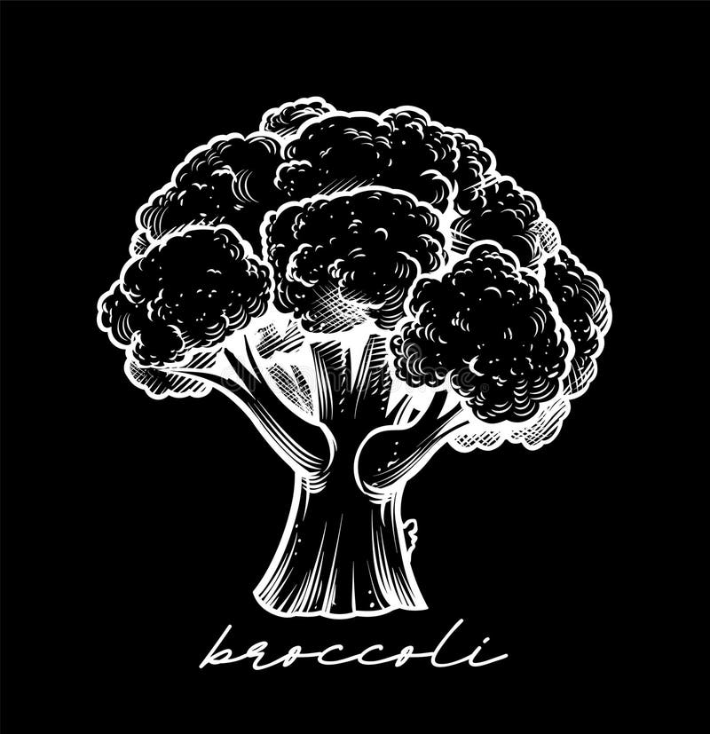 Vector blanco y negro dibujado a mano stock de ilustración