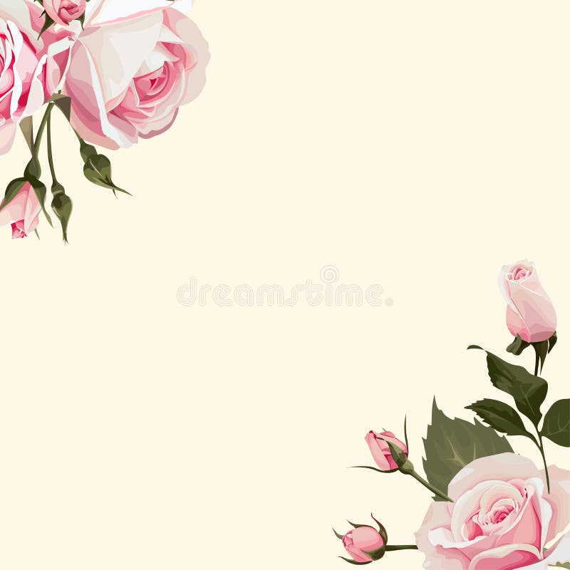 Vector Bloemenachtergrond met roze rozen op conners vector illustratie Vector Bloemenachtergrond met roze rozen op conners vector illustratie