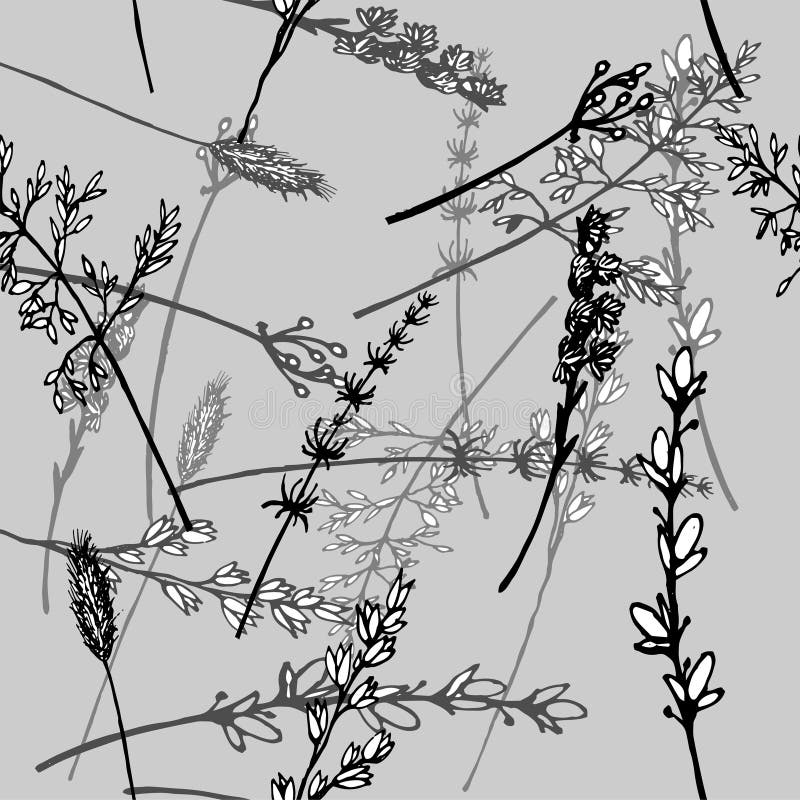Vector bloemenillustratiewhit kruiden stock illustratie Vector bloemenillustratiewhit kruiden stock illustratie