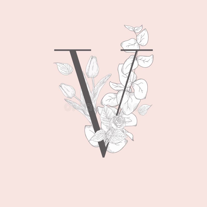 Download Vector Blooming Floral Elegant V Monogram And Logo Stock ...