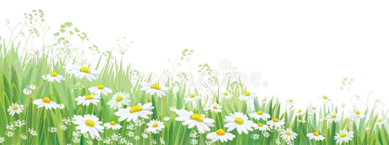 Bright Border of Green Grass with Spring Flowers. Template for ...