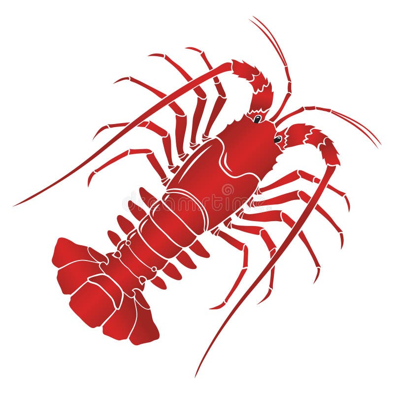 Vector boiled spiny or rock lobster