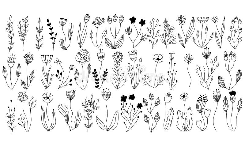 Vector botanische inzameling van bloemen en kruidenelementen geïsoleerde vectorinstallaties, takken en bloemen in het ontwerp van stock illustratie Vector botanische inzameling van bloemen en kruidenelementen geïsoleerde vectorinstallaties, takken en bloemen in het ontwerp van stock illustratie