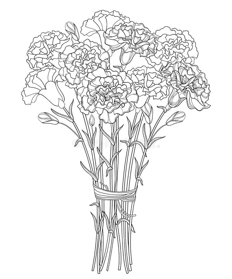 Carnation Outline Images – Browse 2,405 Stock Photos, Vectors, and Video