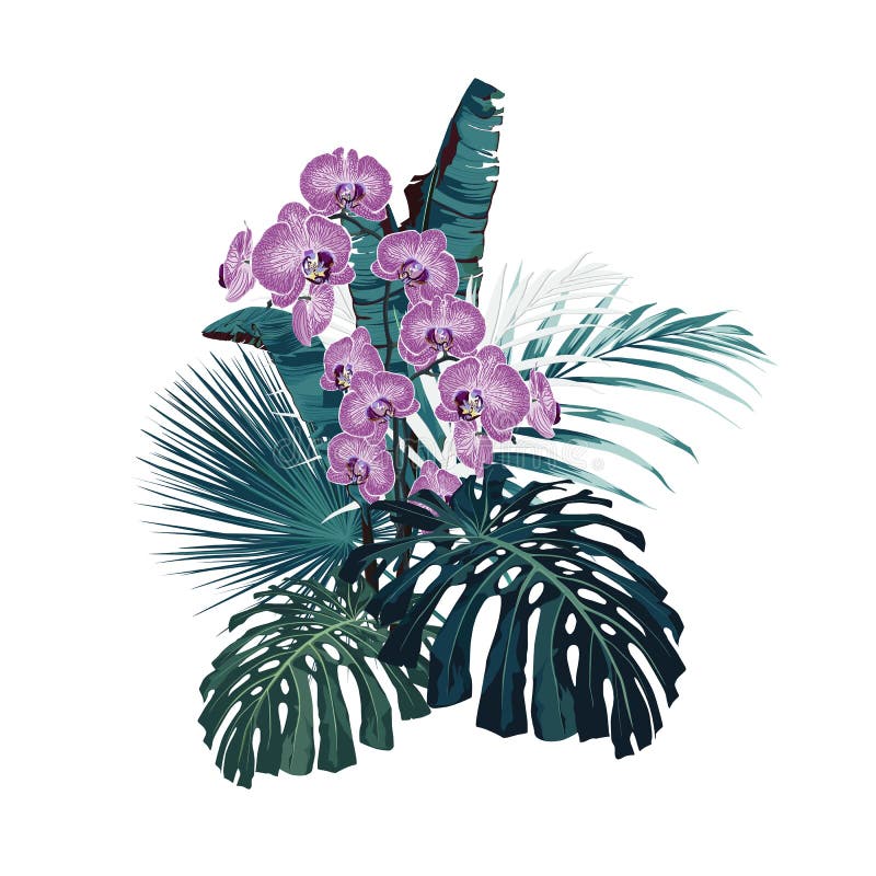 Vector bouquet with tropical flowers. Retro Hawaiian style floral arrangement, with beautiful orchid flowers.